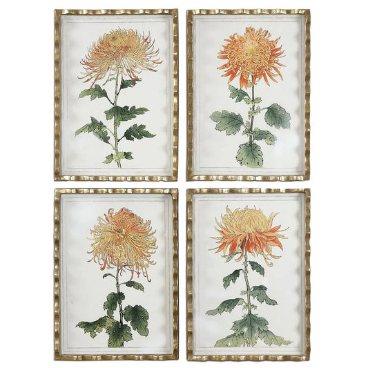 TANGERINE SPIDER MUMS SET/4