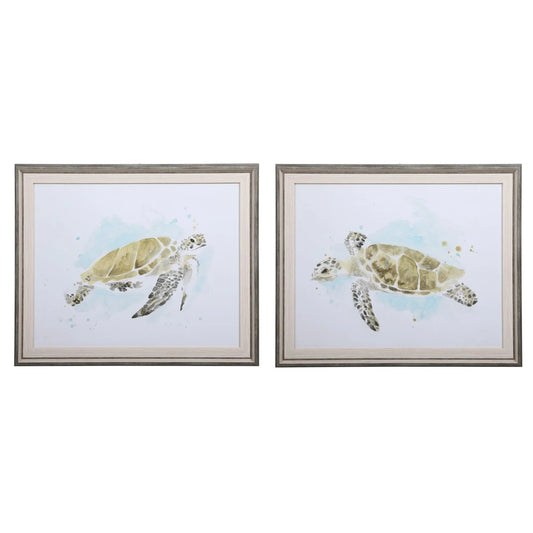 Sea-Turtle Sea Turtle Study