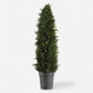 CYPRESS CONE TOPIARY