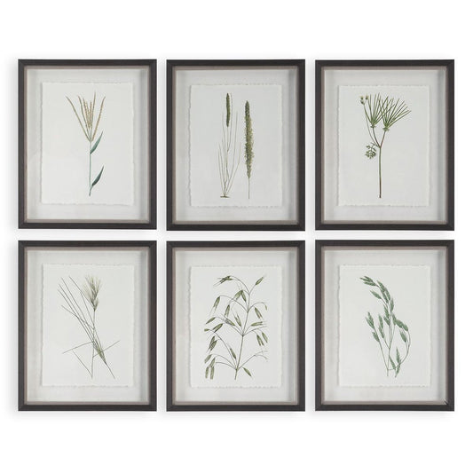 Forest Finds Framed Prints, Set of 6