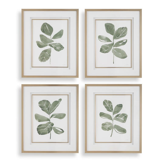Fiddle Head Leaf Framed Prints, S/4