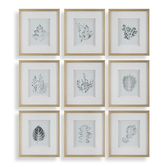 Nature's Script Framed Prints, S/9