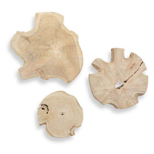 Kalani Indoor-Outdoor Wall Decor, Bleached, S/3