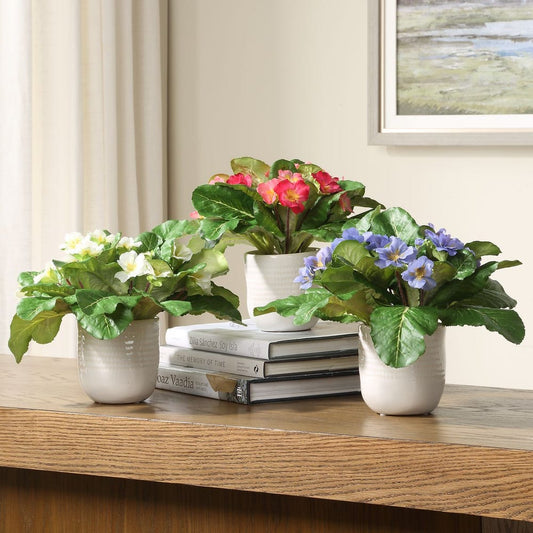 Trilogy Primrose Accents, S/3