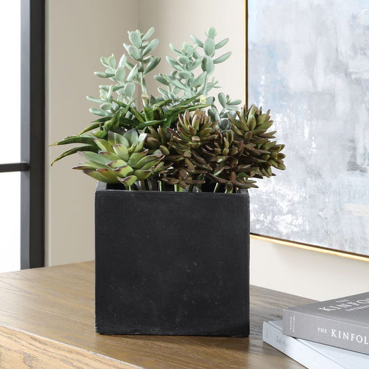 Greystone Indoor-Outdoor Succulent