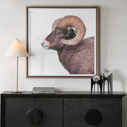 Big Horn Framed Print
