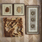Uly Shadow Box