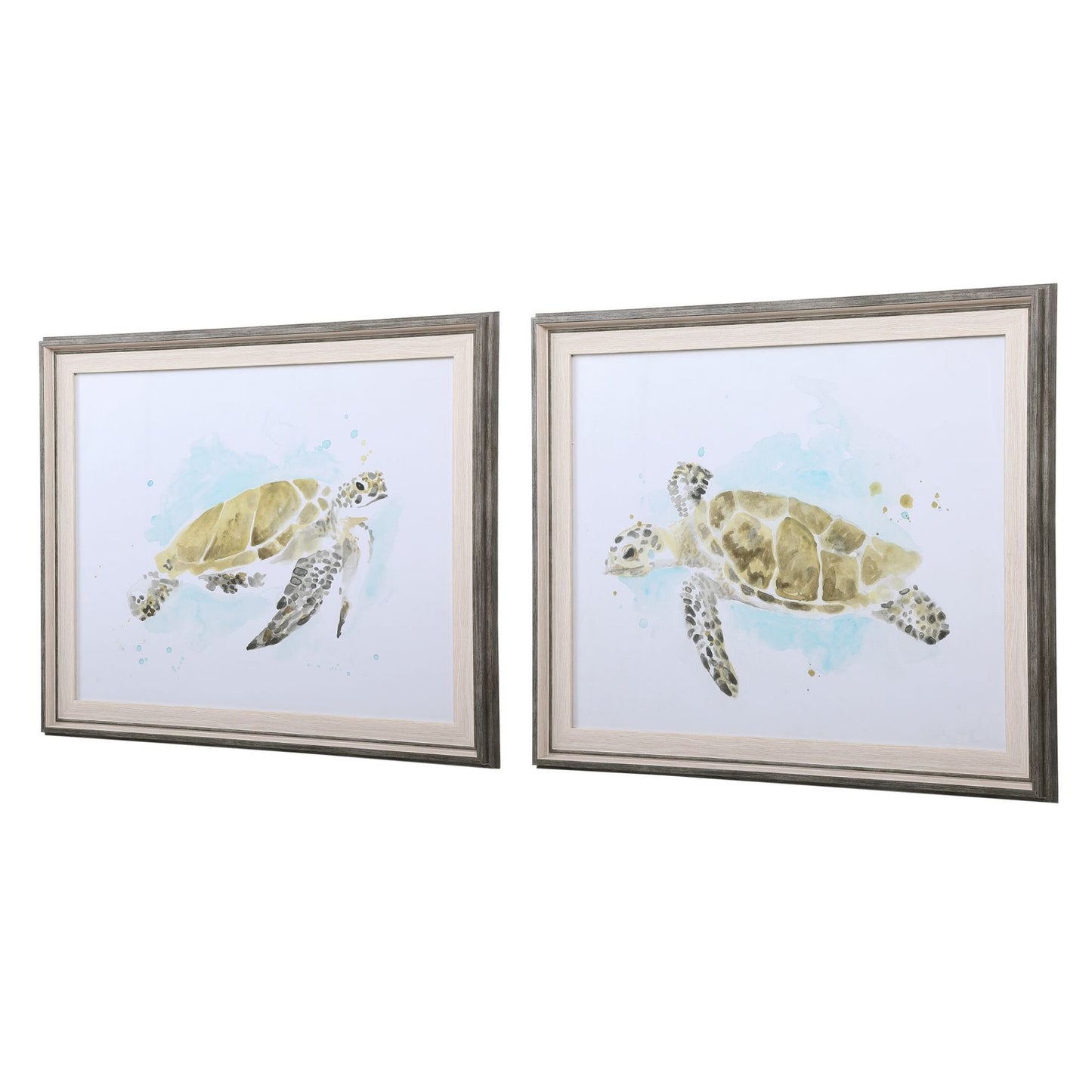 Sea-Turtle Sea Turtle Study