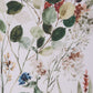 Delicate Flowers Framed Prints, Set of 2