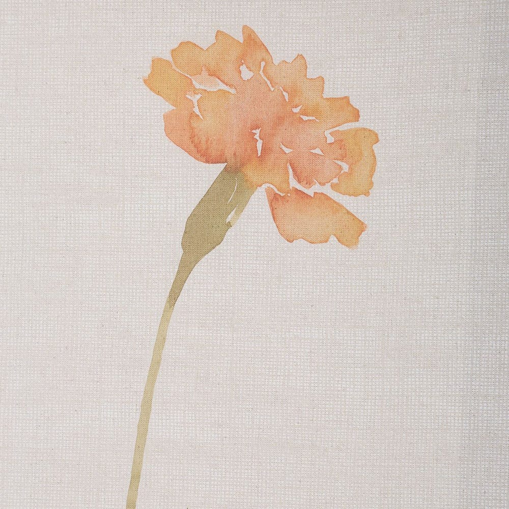 Wild Flourish Framed Prints, Set of 6