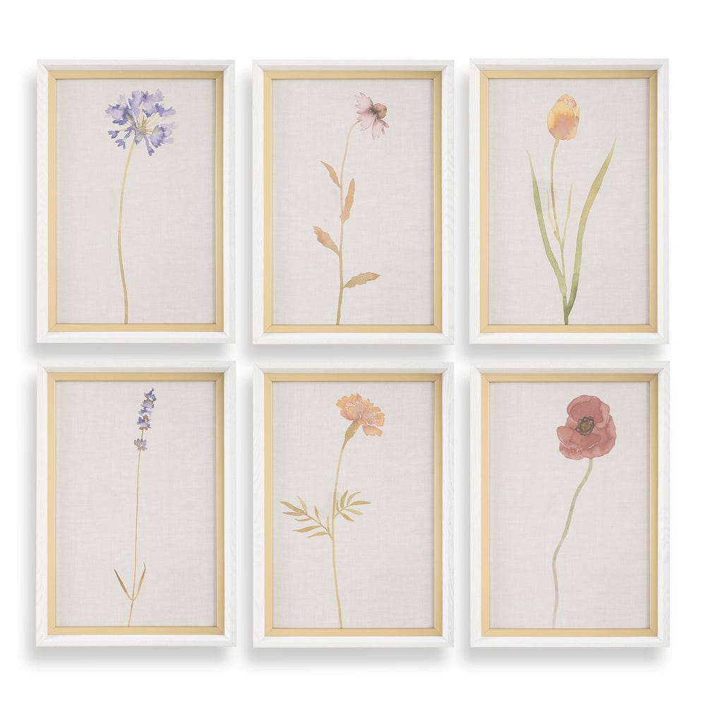 Wild Flourish Framed Prints, Set of 6