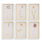 Wild Flourish Framed Prints, Set of 6