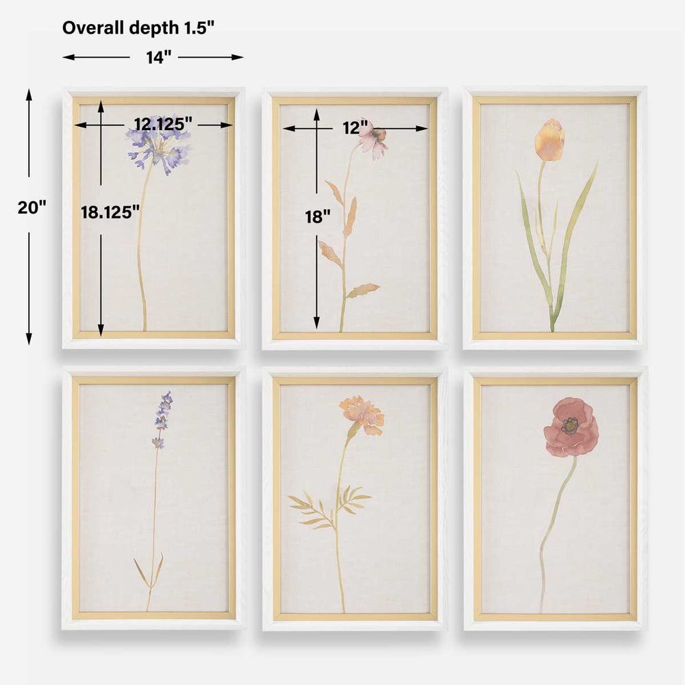 Wild Flourish Framed Prints, Set of 6