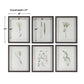 Forest Finds Framed Prints, Set of 6