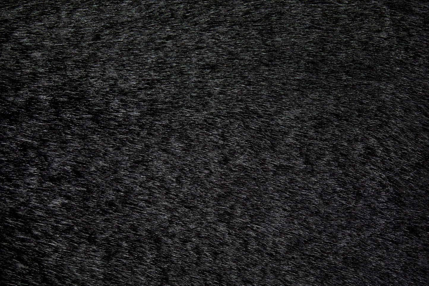 Gariland Black Pillow