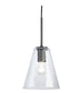 Collbrook Glass Pendant Light (1/CN)