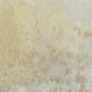 Now & Then Hand Painted Canvases, Set of 4