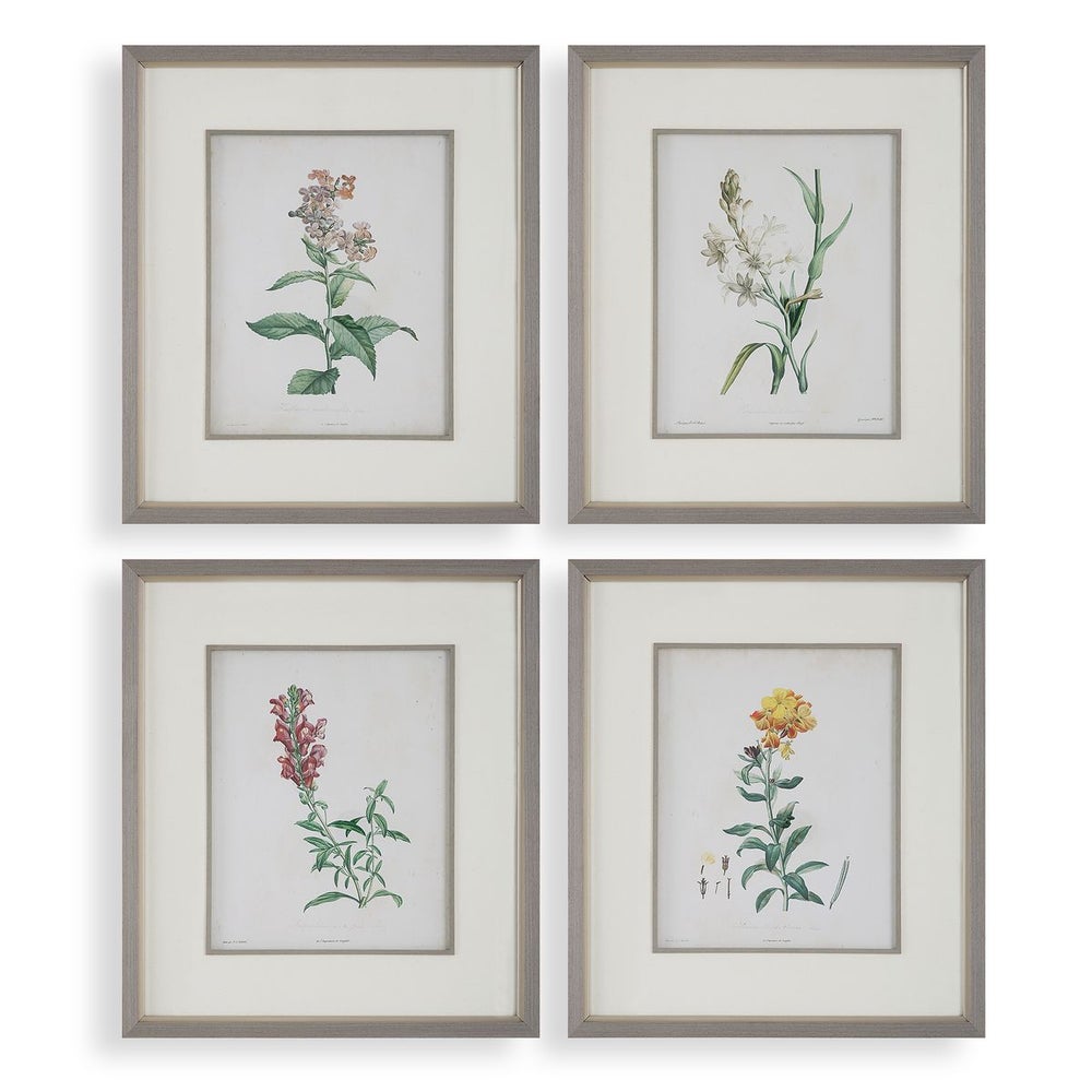 Heirloom Blooms Study Framed Prints, S/4