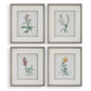 Heirloom Blooms Study Framed Prints, S/4