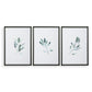 Simple Sage Framed Prints, S/3