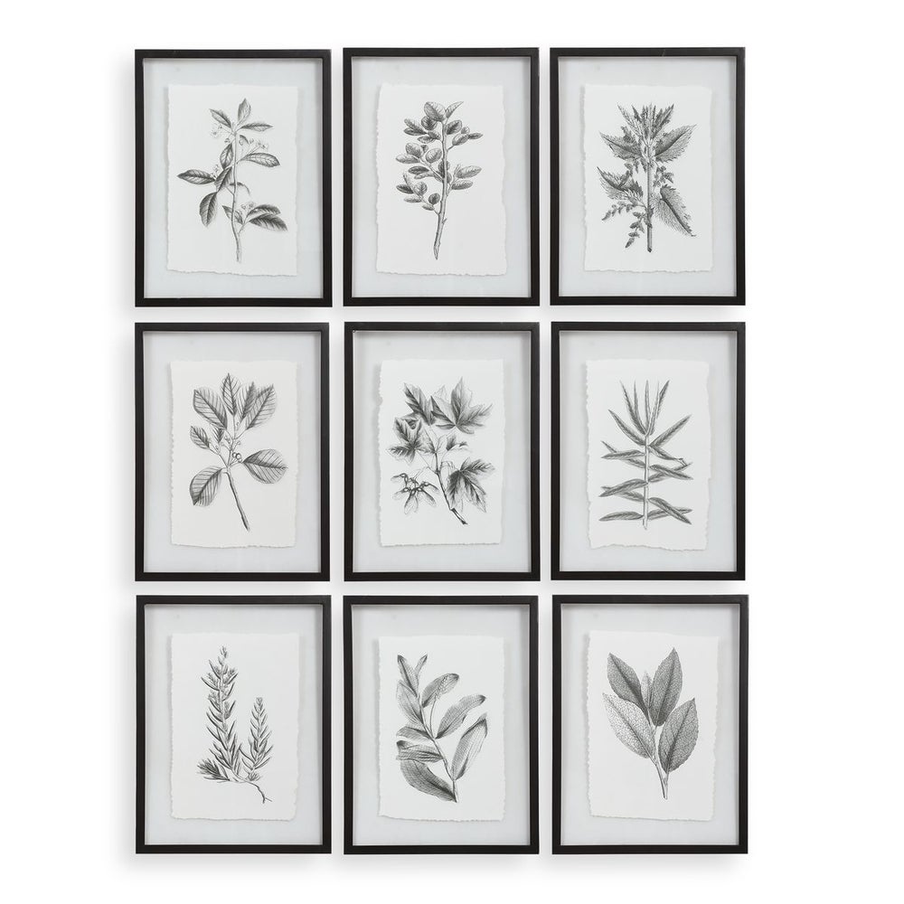 Farmhouse Florals Framed Prints, S/9 3 Cartons