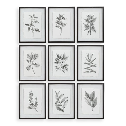 Farmhouse Florals Framed Prints, S/9 3 Cartons