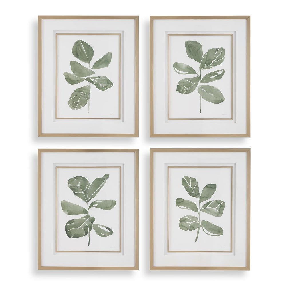 Fiddle Head Leaf Framed Prints, S/4