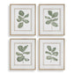 Fiddle Head Leaf Framed Prints, S/4