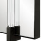 Ladonna Mirror, Black