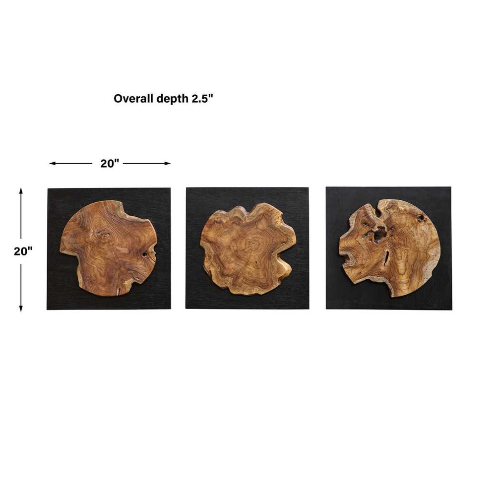 Kolini Wood Wall Decor, S/3