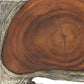 Jungle Wood Wall Decor, S/9