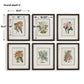 Orchid Botanical Framed Prints, S/6