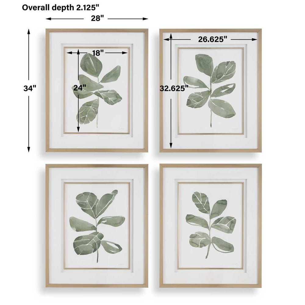 Fiddle Head Leaf Framed Prints, S/4