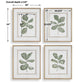 Fiddle Head Leaf Framed Prints, S/4