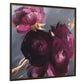 Plum Ranculus Framed Canvas