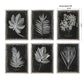 Foliage Framed Prints, S/6