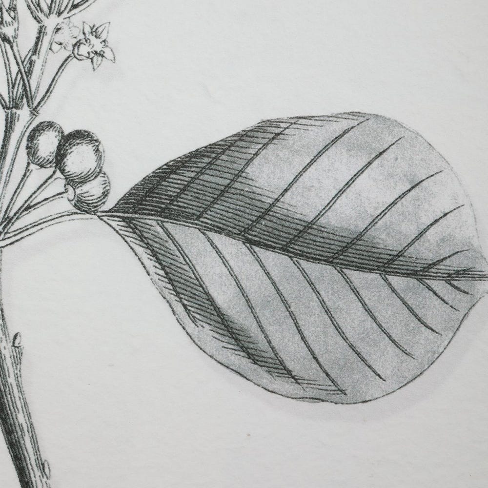 Farmhouse Florals Framed Prints, S/9 3 Cartons