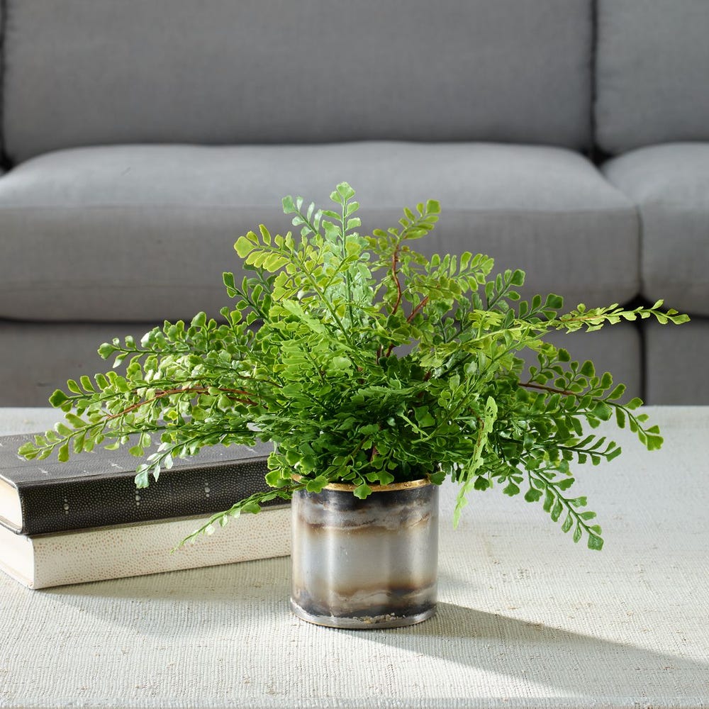 Maidenhair Fern Accent