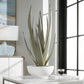 Evarado Aloe Planter