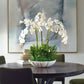 Flourish Orchid Centerpiece