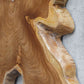 Talia Indoor-Outdoor Wood Wall Decor, S/9