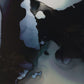 Telescopic Framed Prints, S/2