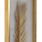 Palma Shadow Boxes, S/3