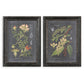 Midnight Botanicals Framed Prints, S/2