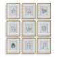 Nature's Script Framed Prints, S/9