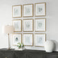 Nature's Script Framed Prints, S/9