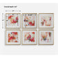 Fresh Start Framed Prints, Red, S/6