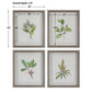 Wildflower Study Framed Prints, S/4