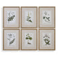 Green Floral Botanical Study Framed Prints, S/6