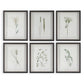 Forest Finds Framed Prints, S/6